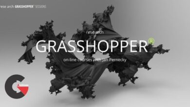 GRASSHOPPER Sessions