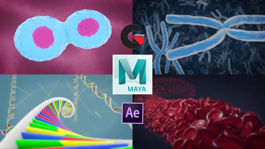 3D Medical Animation in Autodesk Maya