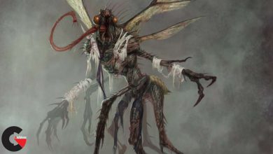 Creature Concepts - The Fly