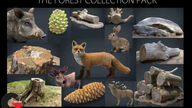 The Forest Collection Pack