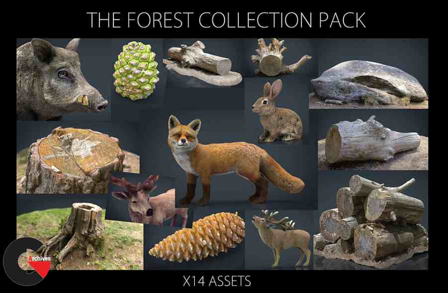 The Forest Collection Pack