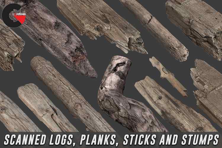 Scanned Logs, Planks, Sticks and Stumps - 3D Models