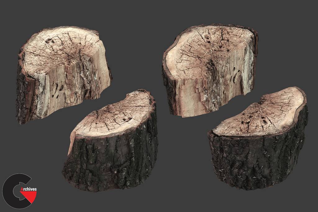 Scanned Logs - Planks - Sticks and Stumps - 3D Models