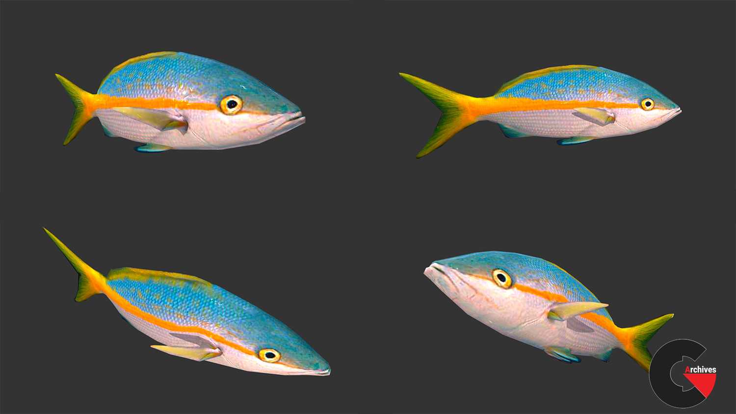 Low poly Fish Collection Animated Pack 4