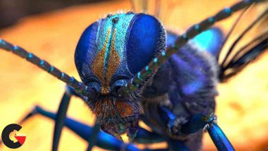 Hyper-realistic Insect Design with Eric Keller