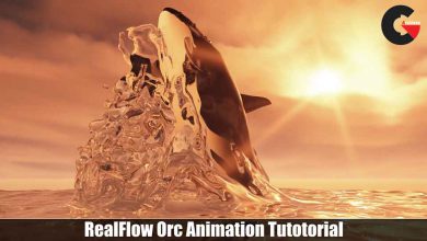 RealFlow Orca Animation Tutorial