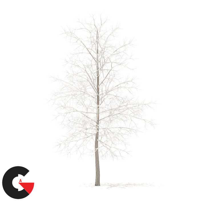 CGAxis – Trees 3D Models Collection – Volume 100