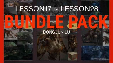 Lu Dongjun – Lesson17 to Lesson28 Bundle Pack