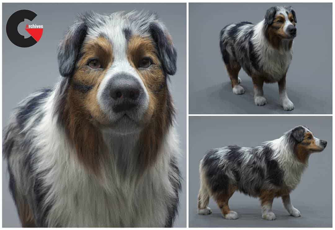 Realistic Dog Grooming for Production with XGen