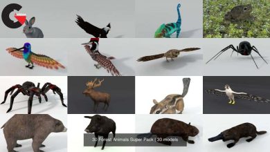 30 Forest Animals Super Pack 3D Model Collection