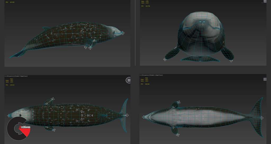Big Fish Collection Low poly - Animated Low-poly 3D model