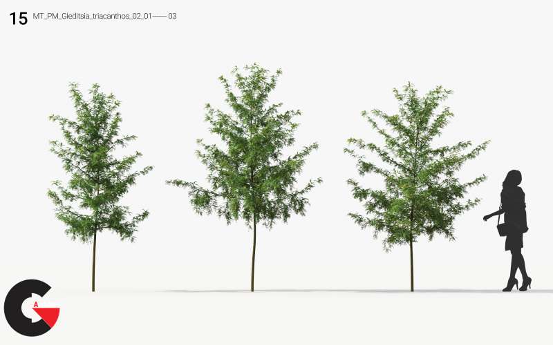 Plant Models Vol.12 - 3D Models