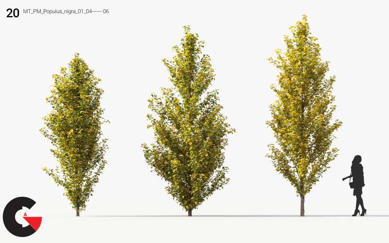 Plant Models Vol.12 - 3D Models