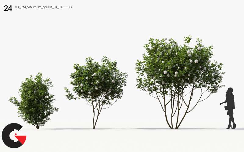 Plant Models Vol.13 - 3D Models