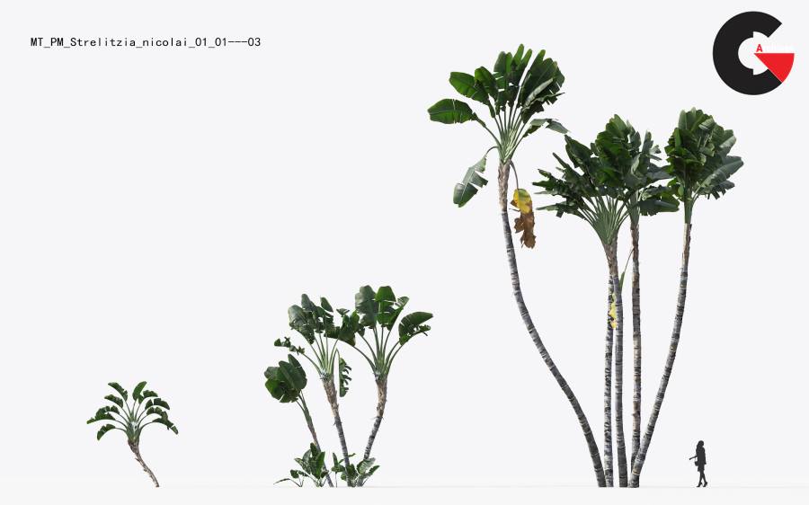 Plant Models Vol.15 - 3D Models