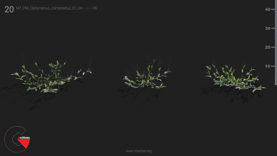 Plant Models Vol.21 - 3D Models