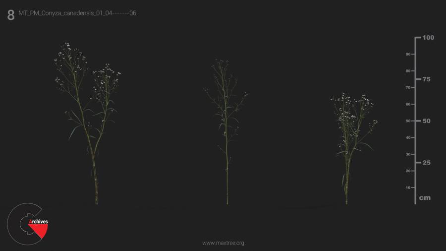 Plant Models Vol.21 - 3D Models