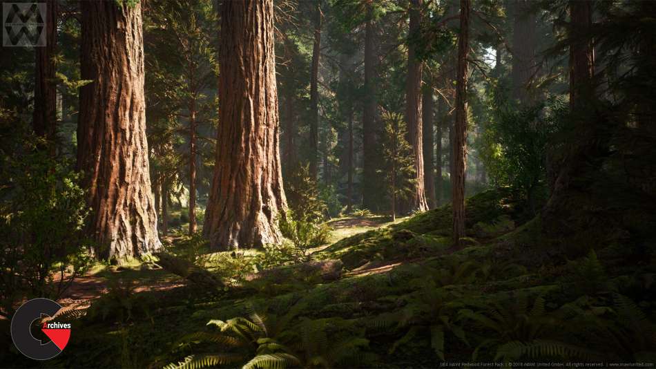 Redwood Forest Collection v4.20-4.21