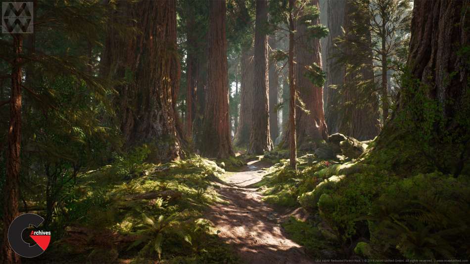 Redwood Forest Collection v4.20-4.21