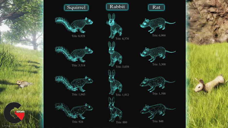 Small Animal Behavior Pack: Rabbit, Squirrel, Rat