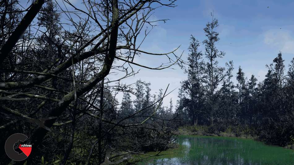 Swamp - Game Development