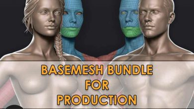 Basemesh Bundle