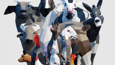 Farm Animals Pack Low-poly 3D model