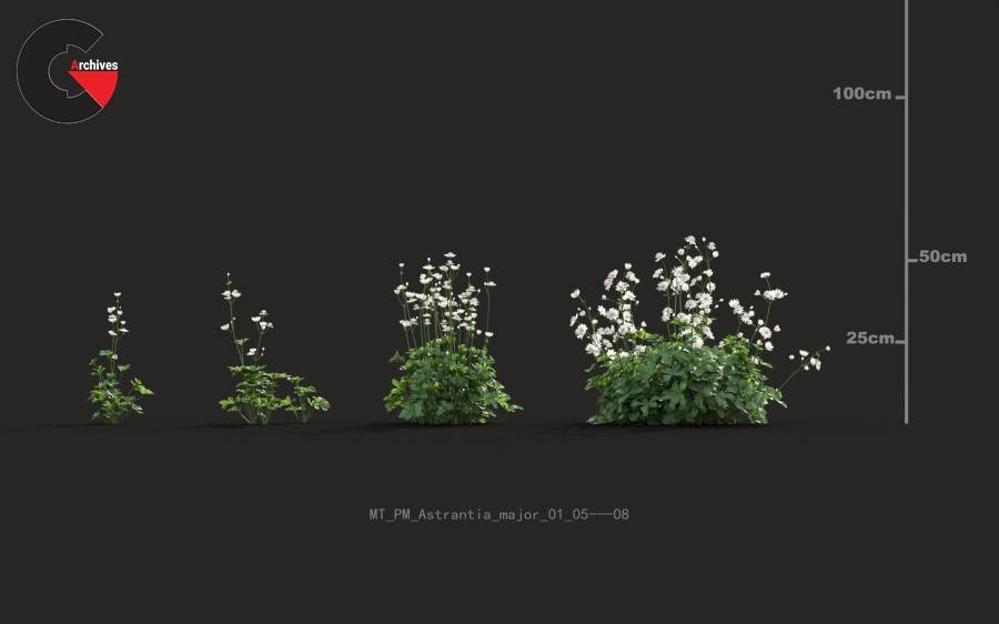 Plant Models Vol 20