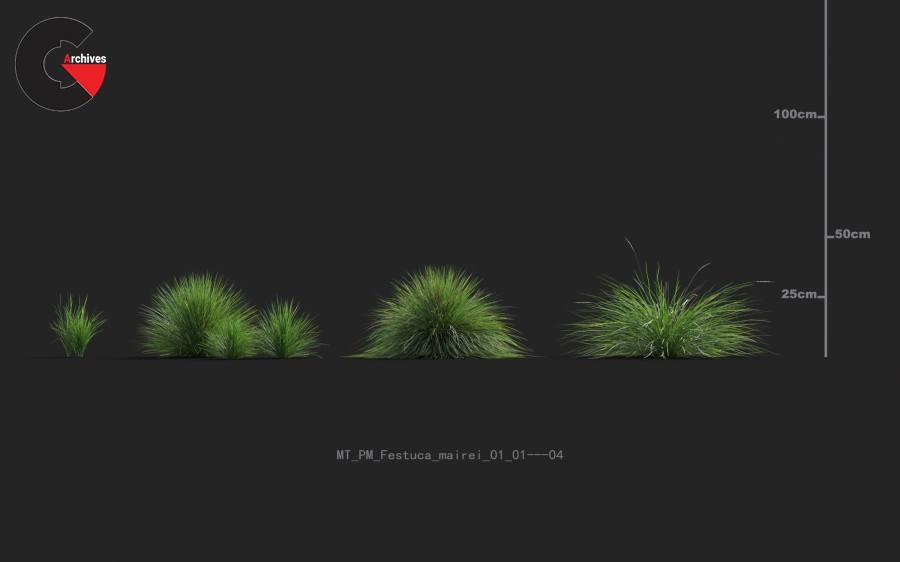 Plant Models Vol 20