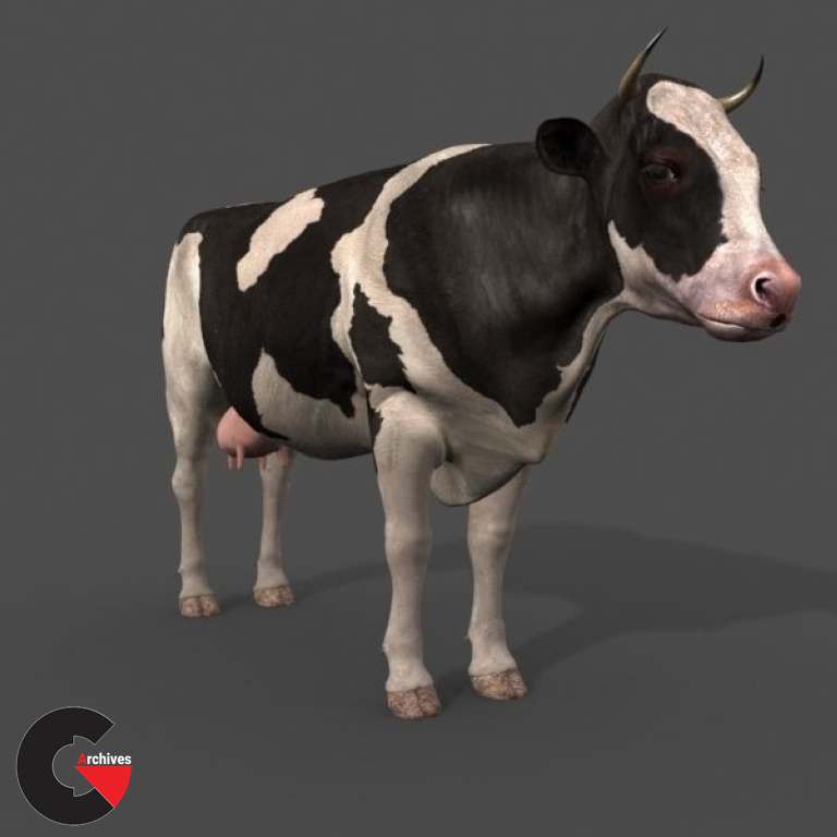 Top Cow - 3d model 3D model