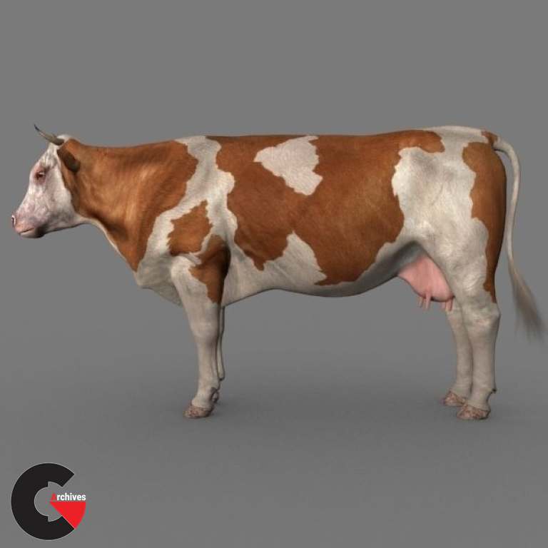 Top Cow - 3d model 3D model