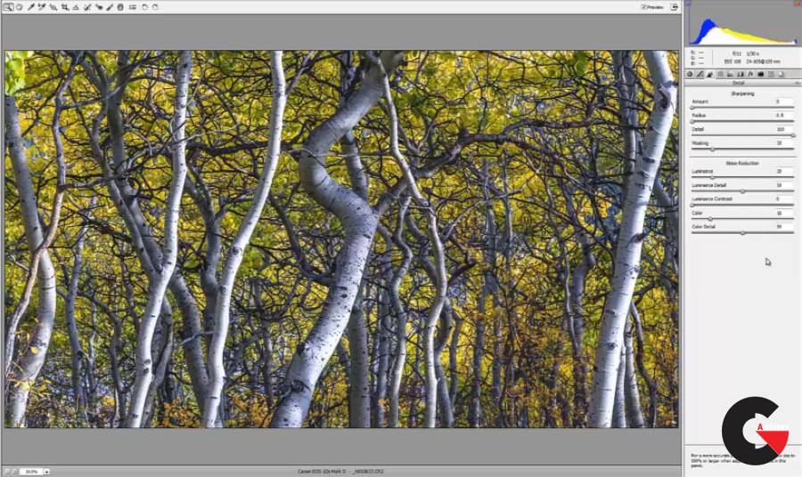 Ultimate Sharpening Workflow for Fine Art Printing