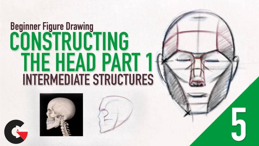 Beginner Figure Drawing - Constructing The Head Part 1