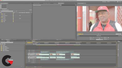 Learn the Ins and Outs of Premiere Pro