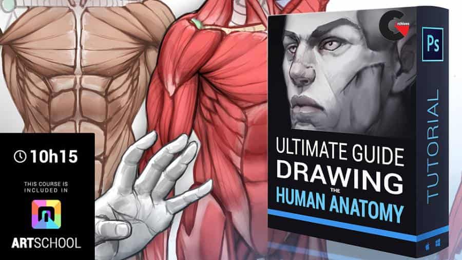 Marc Brunet: Ultimate Guide to drawing the human anatomy