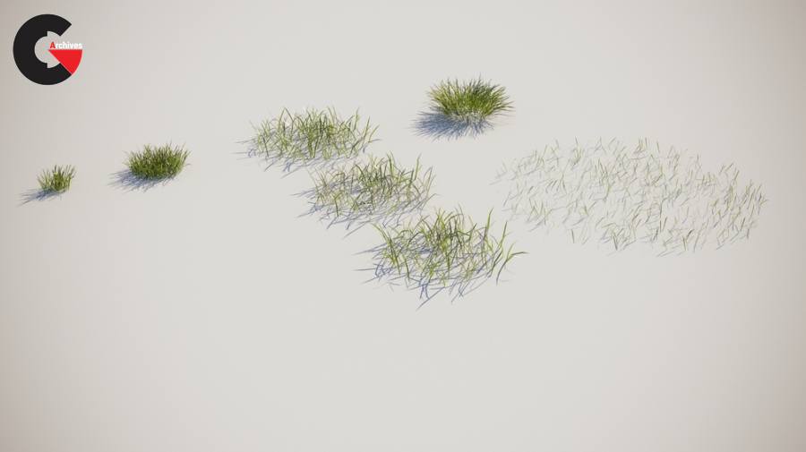 Meadow Asset for 3dsMax