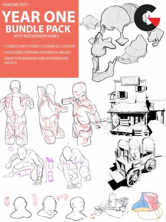 Anatomy Bundle Pack 1