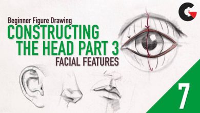 Beginner Figure Drawing - Drawing The Head Part 3 - Facial Features - Eyes, Ears, Nose, & Mouth