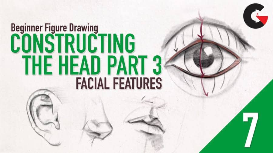 Beginner Figure Drawing - Drawing The Head Part 3 - Facial Features - Eyes, Ears, Nose, & Mouth