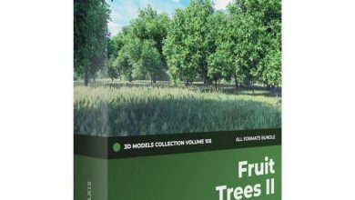 CGAxis – Fruit Trees 3D Models Collection – Volume 105