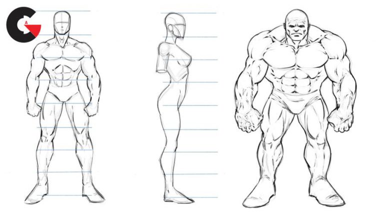 How to Draw Superheroes - Male & Female Proportions - CGArchives