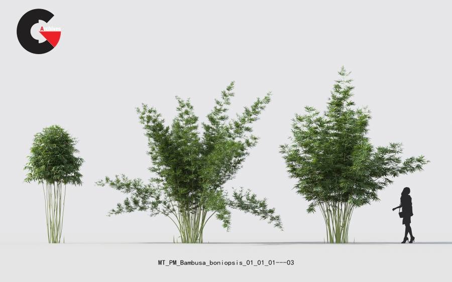 Plant Models Vol.18