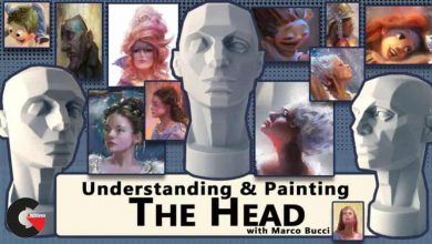 Understanding and Painting the Head