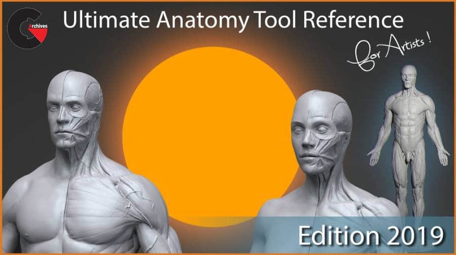 Gumroad – Ultimate Anatomy Tool Reference For Artists
