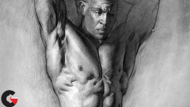 PROKO - Human Anatomy for Artists - 3 Pack (TorsoArmsLegs)