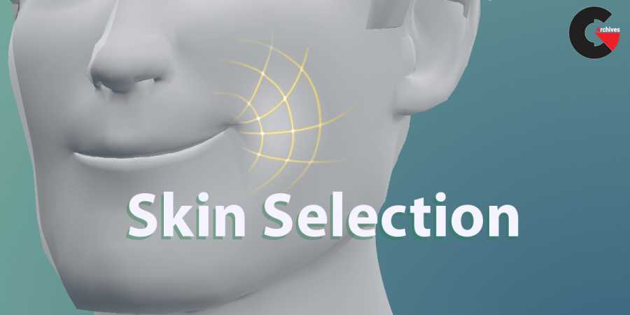 Skin Selection for Blender