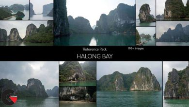 ArtStation – Halong Bay - Reference And Alpha Pack