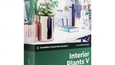 CGAxis – Interior Plants 3D Models Collection – Volume 111