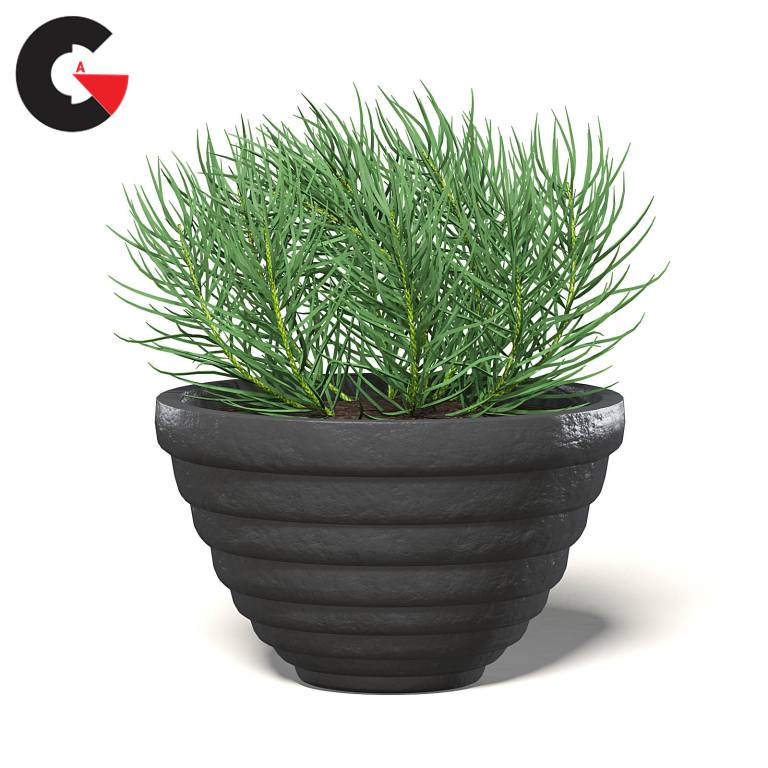 CGAxis – Interior Plants 3D Models Collection – Volume 111
