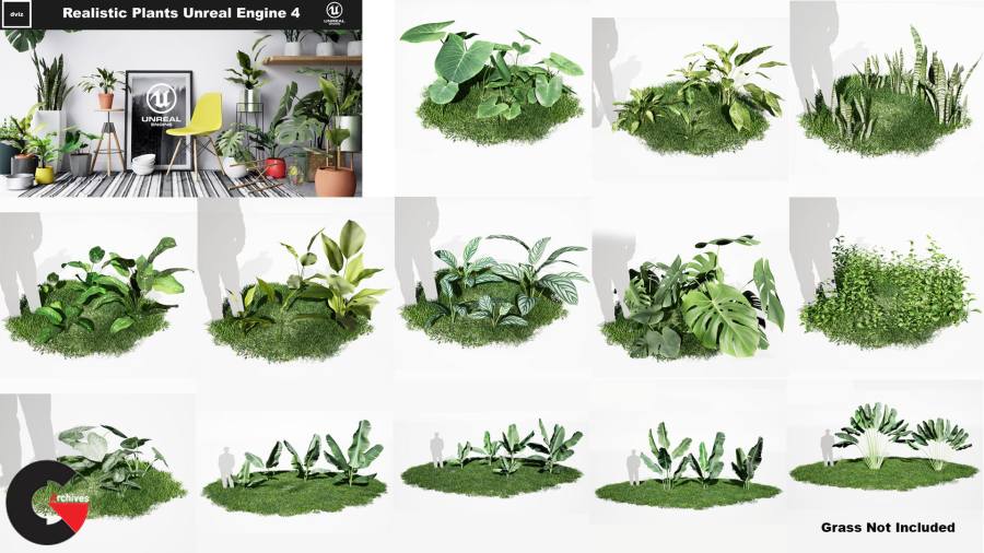 CGTrader – Realistic Plants Pack - Unreal Engine 4 Low-poly 3D model